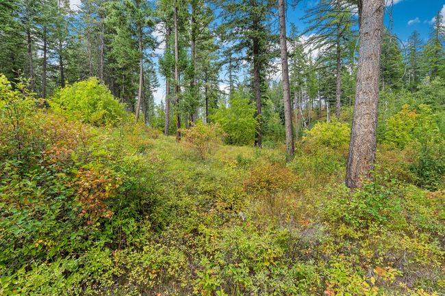 157 Pinto Trl, Home with 0 bedrooms, 0 bathrooms and null parking in Bigfork MT | Image 46
