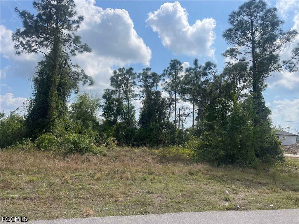 Land in Lehigh Acres 3