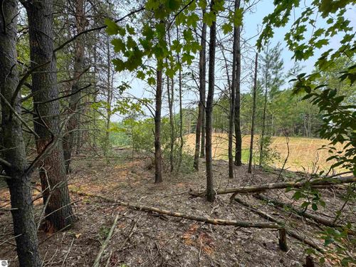 Lot #1 E Bellinger Road, Cedar, MI, 49621 | Card Image