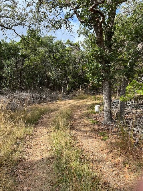 396 High Forest Dr, Blanco, TX, 78606-4727 | Card Image