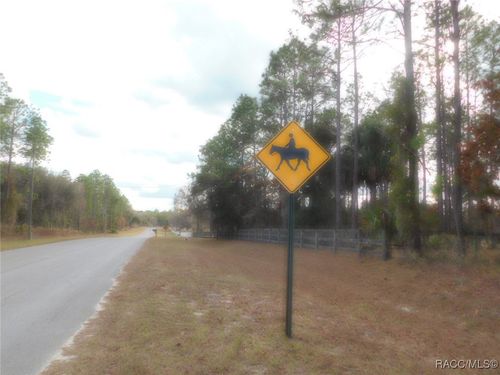 TBD Se 120th Ct, Morriston, FL, 32668 | Card Image