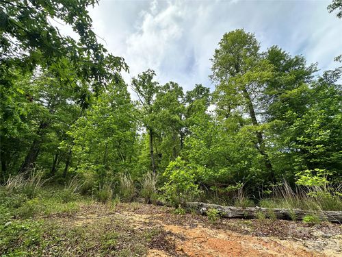 99999 Bird Creek Estates Rd, Black Mountain, NC, 28711 | Card Image