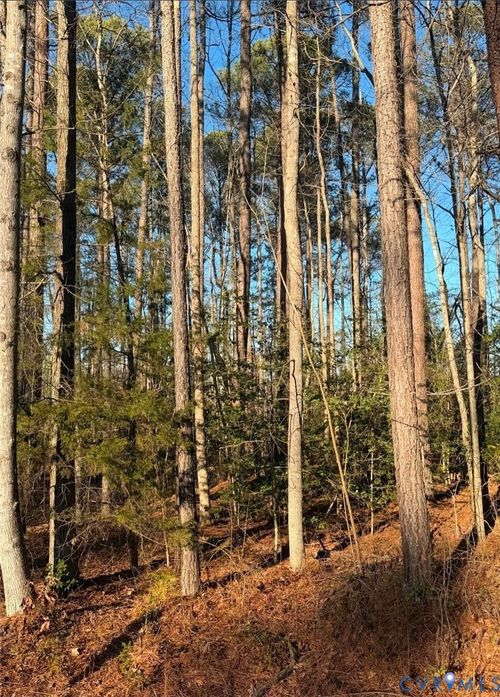 119 American Dr, Ruther Glen, VA, 22546-5009 | Card Image