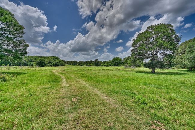 View of yard featuring a view of rural / pastoral area | Image 9