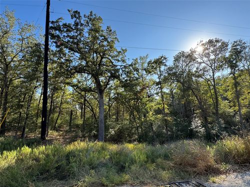 Lot 130 Wailupe Cir, Bastrop, TX, 78602-7254 | Card Image