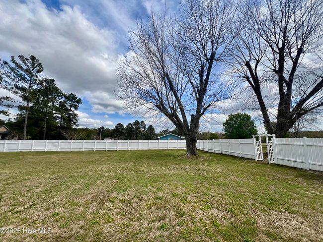 5131 Haynes Lennon Hwy, House other with 3 bedrooms, 2 bathrooms and null parking in Chadbourn NC | Image 28