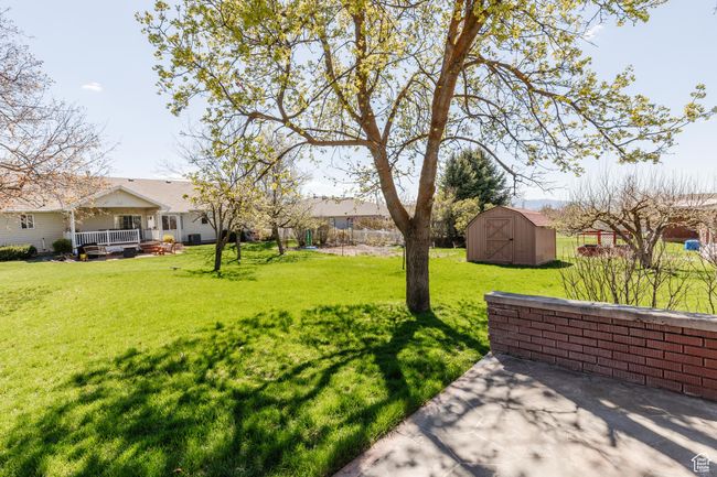 View of yard with an outdoor structure and a storage shed | Image 37