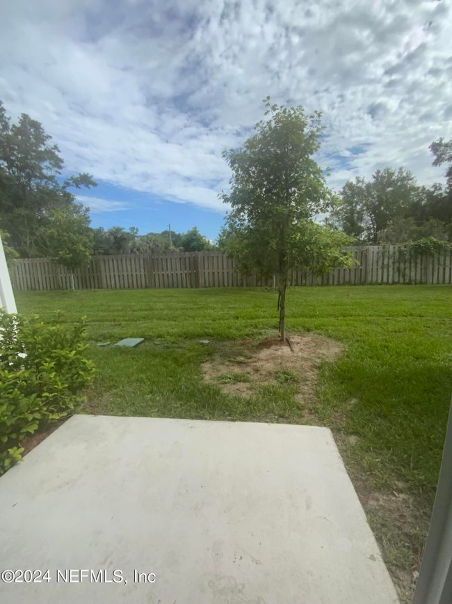 Back Yard | Image 35