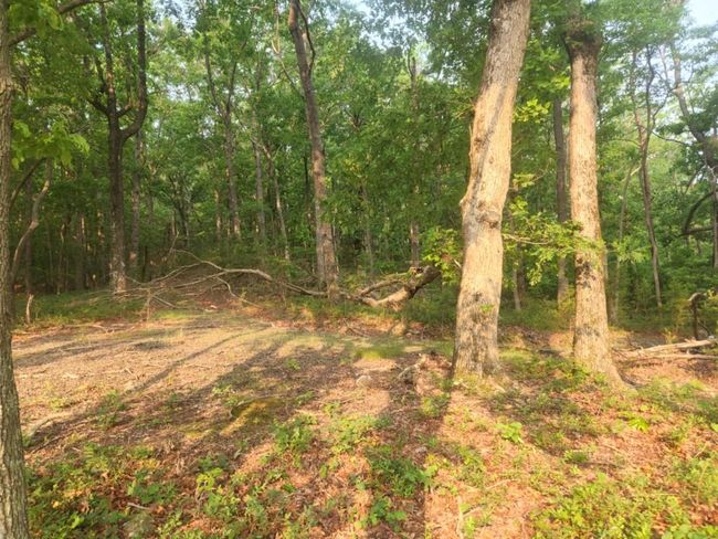 161 Sharp Mountain Pkwy, Home with 0 bedrooms, 0 bathrooms and null parking in Jasper GA | Image 6
