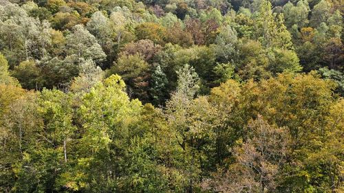 TBD Home Creek Rd, Grundy, VA, 24614 | Card Image