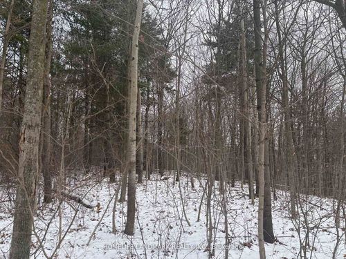 LT 45 Con 7 Ebr Lindsay N/A, Northern Bruce Peninsula, ON, N0H1Z0 | Card Image