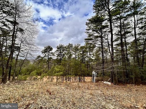 Lot 82 Doe Garden Dr, YELLOW SPRING, WV, 26865-9049 | Card Image