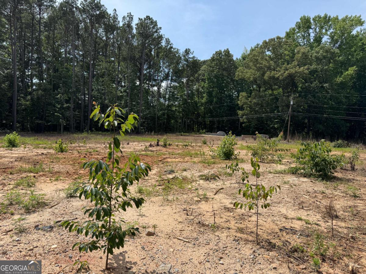 Land in Fayetteville 2