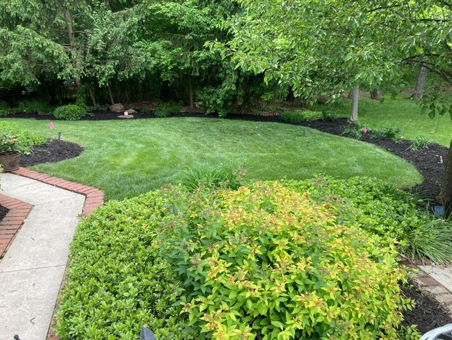 8407 Tartan Fields Dr, House other with 5 bedrooms, 5 bathrooms and null parking in Dublin OH | Image 58
