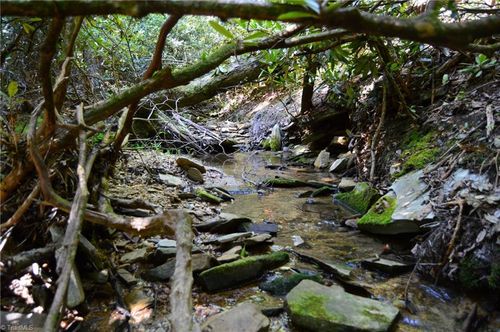 tract-c-21ac-1 Main St, Danbury, NC, 27016 | Card Image