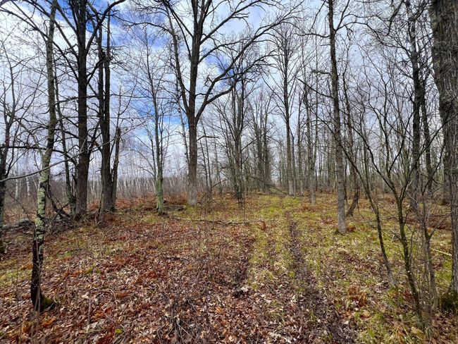 62126 Tamarack River Rd, Home with 0 bedrooms, 0 bathrooms and null parking in SANDSTONE MN | Image 26