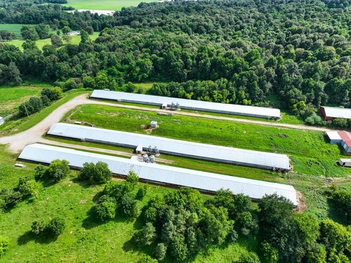 2000 State Route 797, Calhoun, KY, 42327-9698 | Card Image