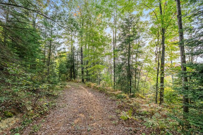 00 Highway 41, Home with 0 bedrooms, 0 bathrooms and null parking in Kaladar ON | Image 7