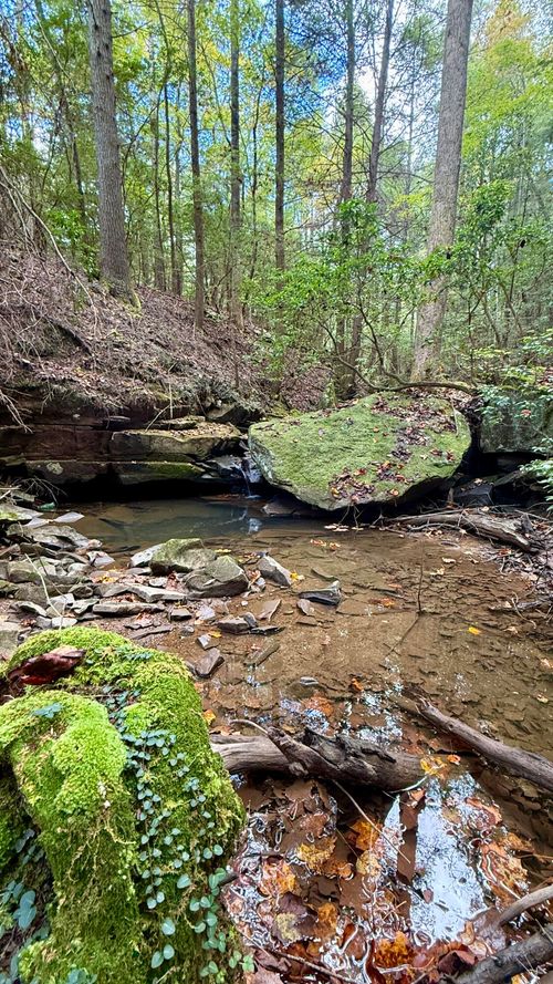 00 Braden Ln, Gruetli Laager, TN, 37339 | Card Image