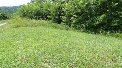 Lot 17D Crappie Rd, Hilham, TN, 38568 | Card Image