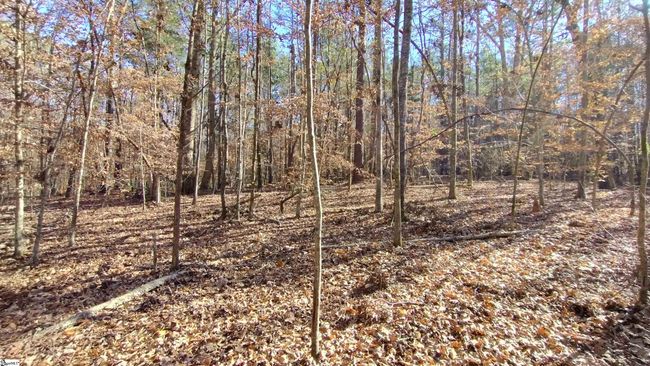 00A Sullivan Rd, Home with 0 bedrooms, 0 bathrooms and null parking in Laurens SC | Image 8