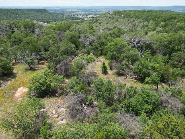 Bird's eye view with a forest view | Image 6