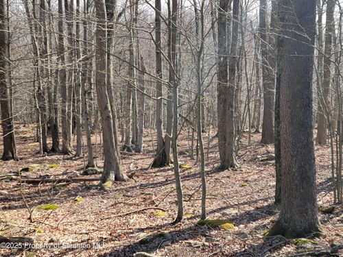 Lot 17 Navaho Path, Gouldsboro, PA, 18424-8852 | Card Image