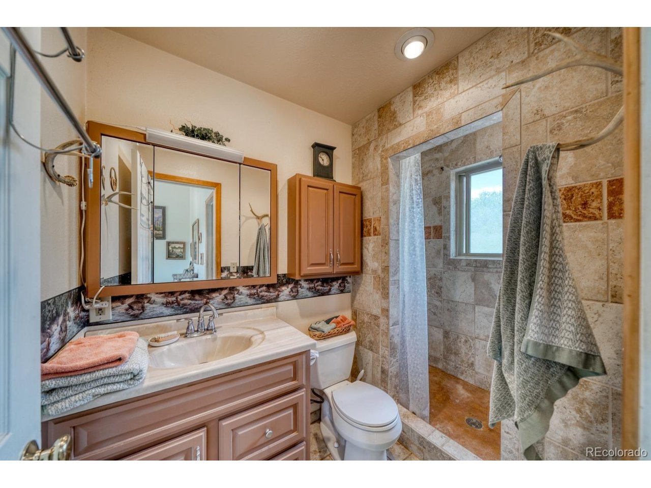 Residential in Westcliffe 5
