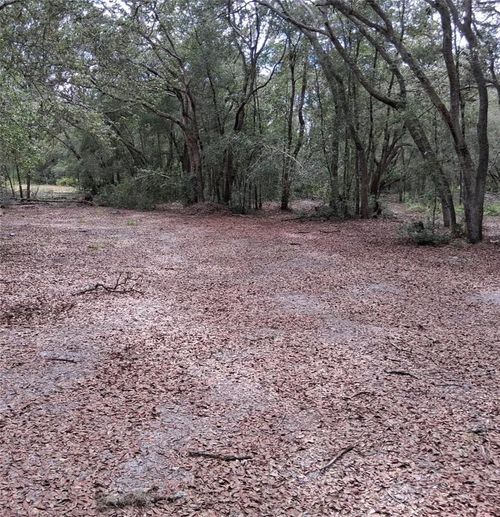 33174 Tombstone St, Webster, FL, 33597-9049 | Card Image