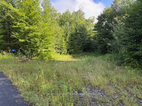 59 Summer Leigh Trail, Utterson, ON, P0B1M0 | Card Image