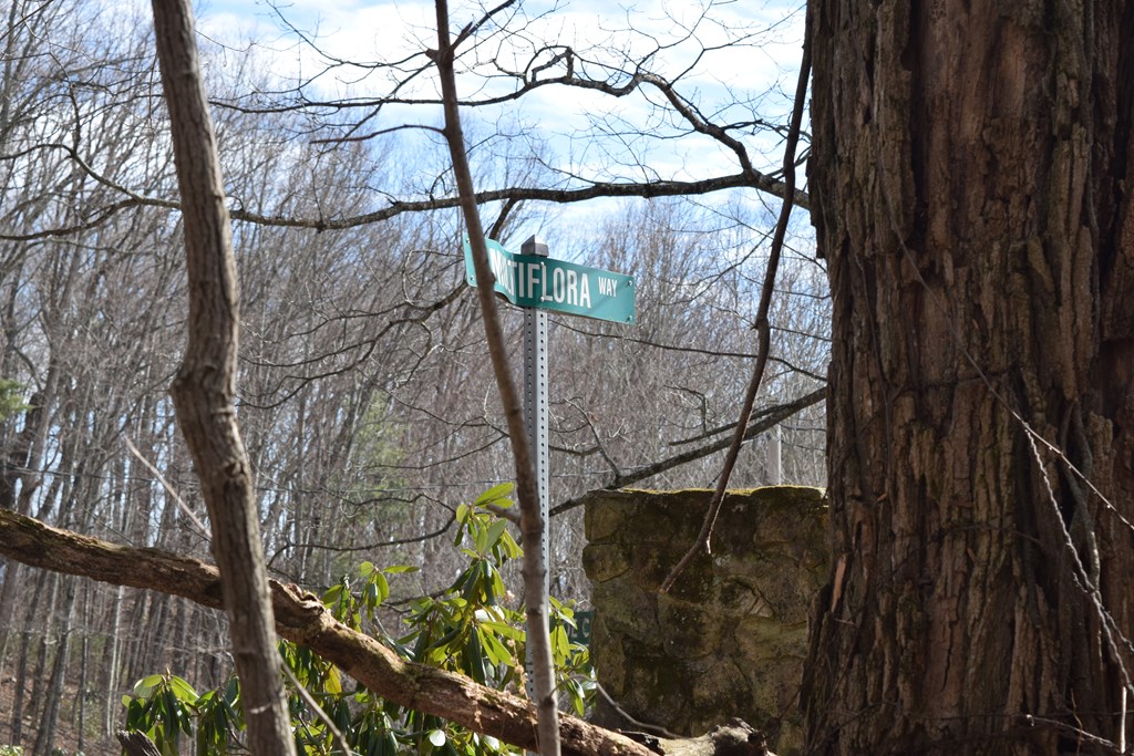 Land in Waynesville 4