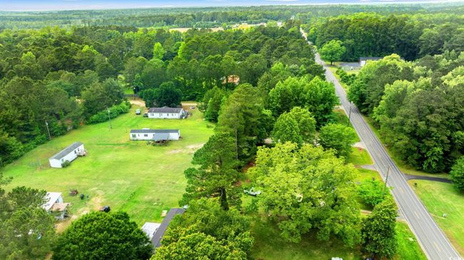Bird's eye view of a forest | Image 32