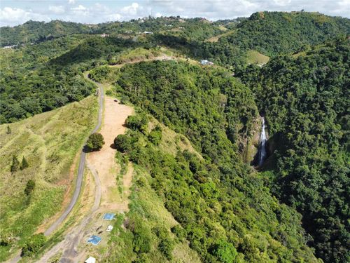 PR-155 KM 34.0 Barrio Perchas, Morovis, PR, 00687 | Card Image
