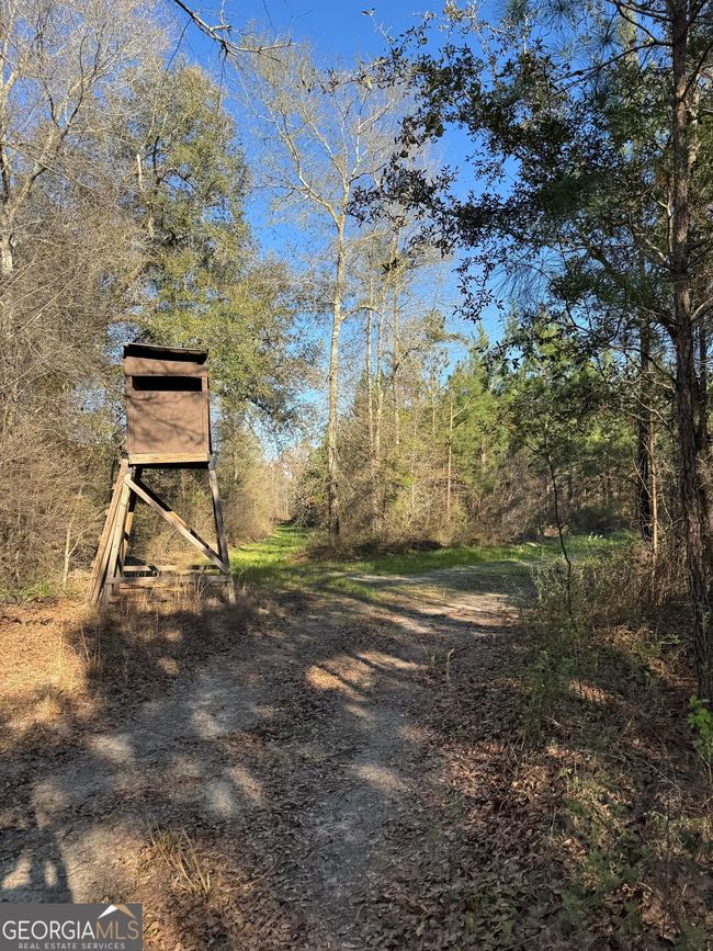 0 Hightower Rd, Home with 0 bedrooms, 0 bathrooms and null parking in Blakely GA | Image 10