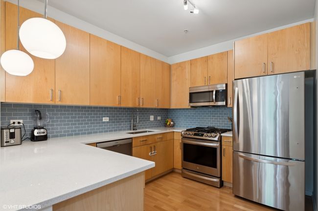 APT-15 - 101 Euclid Ave, Townhouse with 2 bedrooms, 3 bathrooms and 2 parking in Oak Park IL | Image 4