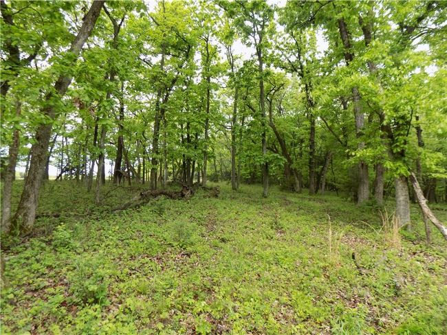 1267 Rock Creek Rd, Home with 0 bedrooms, 0 bathrooms and null parking in Williamsburg KS | Image 28