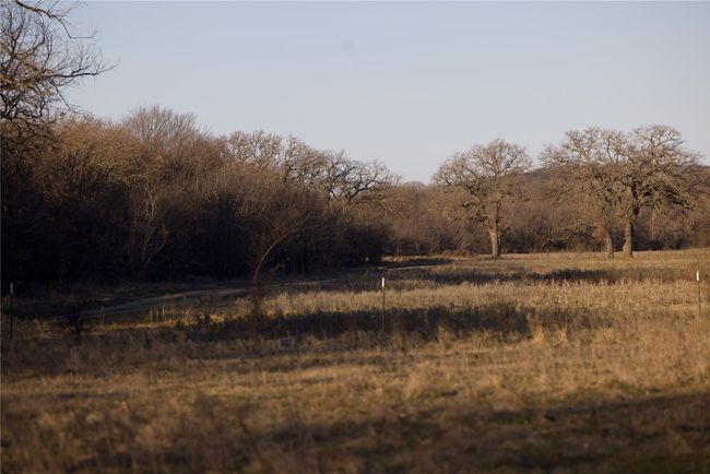 View of nature | Image 30