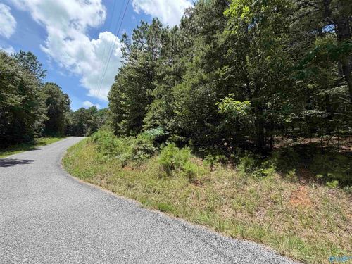 LOT 4 County Road 592, Leesburg, AL, 35983-4917 | Card Image