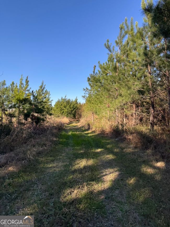 0 Hightower Rd, Home with 0 bedrooms, 0 bathrooms and null parking in Blakely GA | Image 5