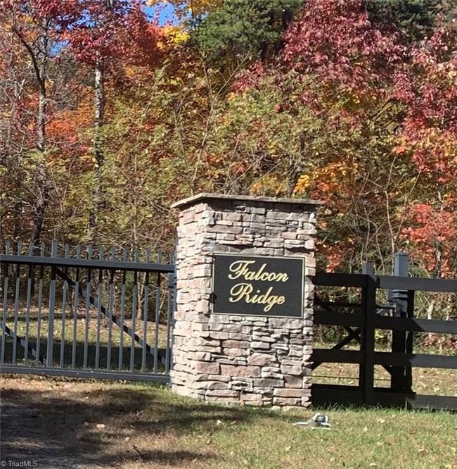 Lot 9 Falcon Ridge Dr, Home with 0 bedrooms, 0 bathrooms and null parking in Moravian Falls NC | Image 4
