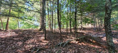 1.23 Acres Dogwood Ct, Spring City, TN, 37381 | Card Image