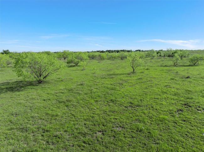 View of landscape with a rural view | Image 14