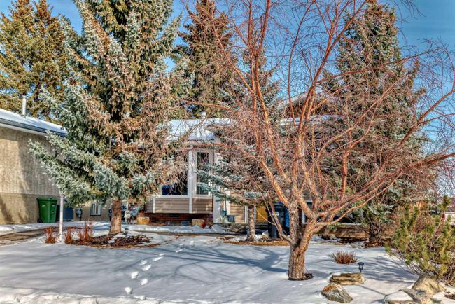 440 Cantrell Drive Sw, Home with 3 bedrooms, 1 bathrooms and 4 parking in Calgary AB | Image 2