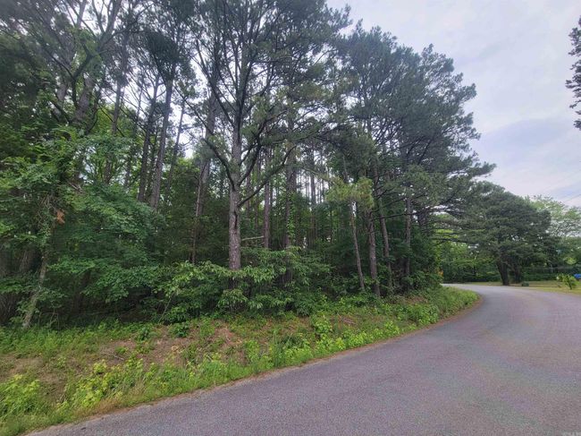 266 Mariposa Loop, Home with 0 bedrooms, 0 bathrooms and null parking in Bee Branch AR | Image 6