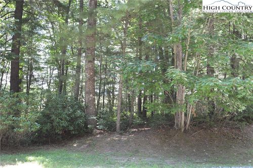 6 Cubs Lane, Sparta, NC, 28675 | Card Image