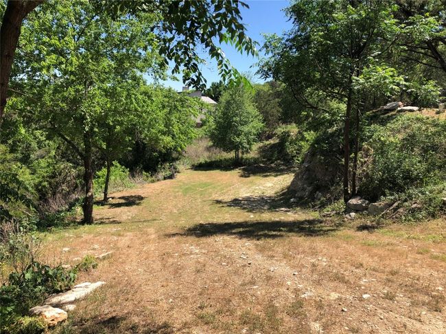 View of nature | Image 6