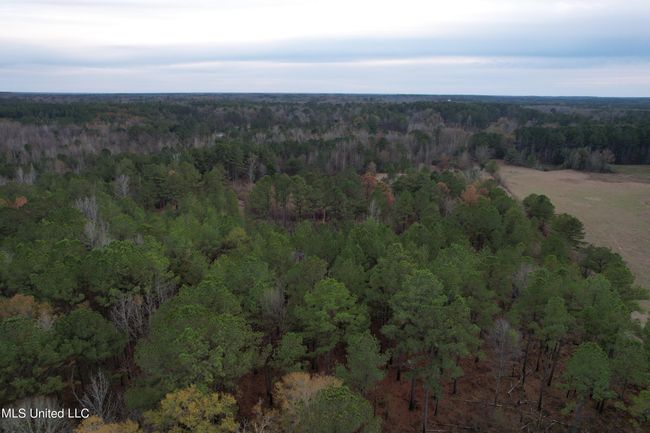 DJI_0893 | Image 18