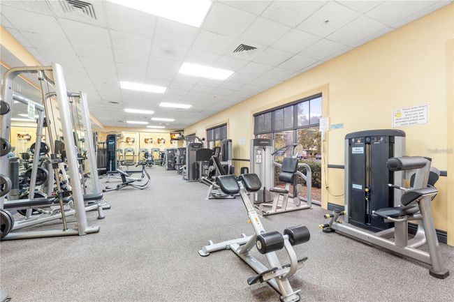 South Club - Fitness | Image 45