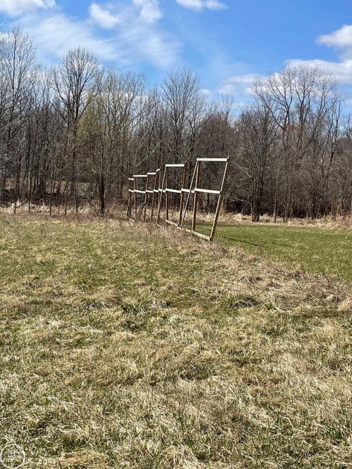Vacant Belle River Road, Riley Township, MI, 48041 | Card Image