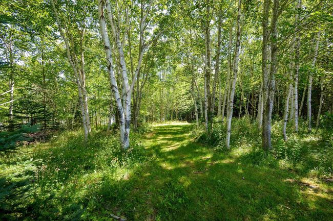 305 Militia Point Rd, House other with 2 bedrooms, 2 bathrooms and 2 parking in River Denys NS | Image 18
